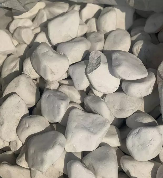 Galka_belaya_620_677
